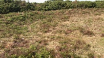 Click for full size image of Third Roborough Down Earthworks (PID:212691) Third Roborough Down Earthworks