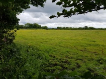 Sandymoor Cross Tumuli
