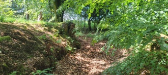 Farway Castle