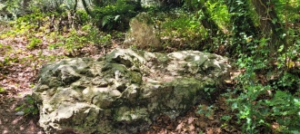 Salcombe Hill Standing Stone - PID:306965