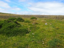 Mardle Embanked Cairn
