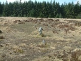 Lakehead Hill W - PID:12911