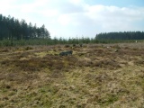 Lakehead Hill Cairn 7 - PID:12957