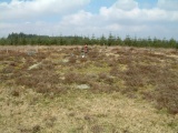 Lakehead Hill Cairn 7 - PID:12959