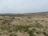 Click for full size image of Shovel Down stone circle (PID:200750) Shovel Down stone circle