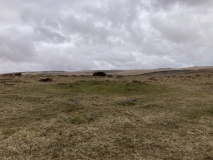 Gidleigh Common Cairns