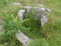 Lee Moor (Willings Walls) Cist
