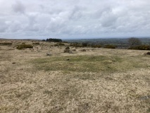 Gidleigh Common Cairns
