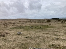 Gidleigh Common Cairns