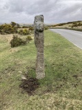 Shaden Cross