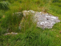 Langcombe Brook 7
