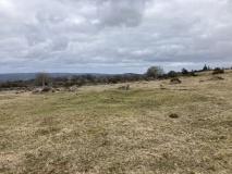 Gidleigh Common Cairns