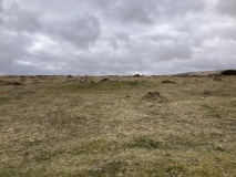 Gidleigh Common Cairns