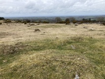 Gidleigh Common Cairns
