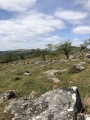 Down Tor Circular Settlement - PID:241489