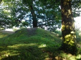 Hembury Castle