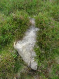 Trendlebere Down