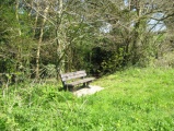 Click for full size image of Puddock's Well (PID:131963) Puddock's Well