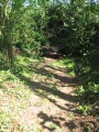 Click for full size image of Puddock's Well (PID:131965) Puddock's Well