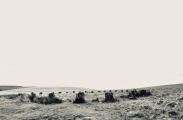Grey Wethers. - PID:256829