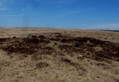 Cheriton Ridge ring cairn - PID:105494