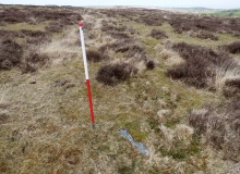 Cheriton Ridge 2