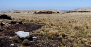 Cut Hill Stone Row