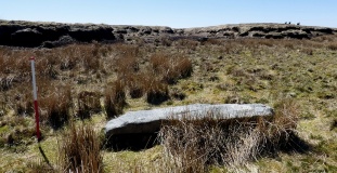 Cut Hill Stone Row