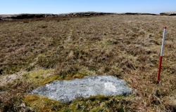 Cut Hill Stone Row
