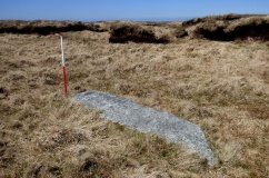 Cut Hill Stone Row