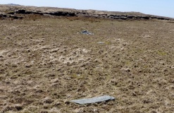 Cut Hill Stone Row