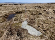 Cut Hill Stone Row