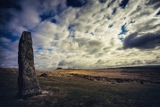 The Longstone (Shovel Down) - PID:225426