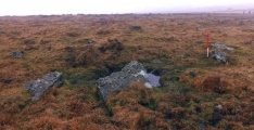 Click for full size image of Butterdon Stone Circle (PID:124769) Butterdon Stone Circle