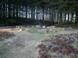 Soussons Common - PID:74486
