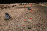 Click for full size image of Fernworthy stone row SW (PID:124838) Fernworthy stone row SW
