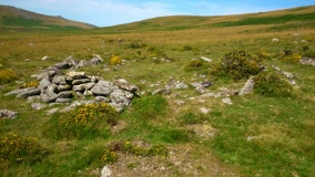 White Hill, Devon
