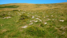 White Hill, Devon