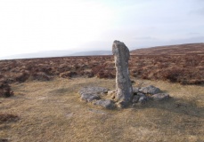 Hamel Down Cross