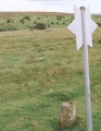 Click for full size image of Shaugh Moor row (PID:3536) Shaugh Moor row