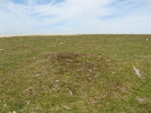 Drizzlecombe Cairn 23