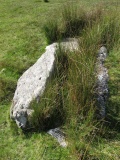 Drizzlecombe cist 22