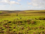 Drizzlecombe cairn 2 - PID:9921