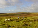 Drizzlecombe Settlement - PID:9923