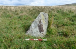 Standing Stone Near Cairn at Head of Drizzlecombe Row 4