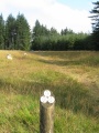 Click for full size image of Fernworthy stone row SW (PID:92745) Fernworthy stone row SW