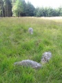 Click for full size image of Fernworthy stone row SE (PID:92749) Fernworthy stone row SE