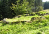 Click for full size image of Lowton Brook West Settlement (PID:52218) Lowton Brook West Settlement