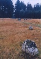 Click for full size image of Fernworthy stone row SW (PID:17374) Fernworthy stone row SW