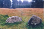 Click for full size image of Fernworthy stone row SW (PID:17375) Fernworthy stone row SW